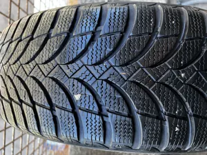 Nexen Winguard Snow G WH2  205/60 R16